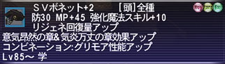 SVボネット+2